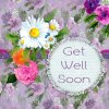 get-well-1456719_960_720.jpg