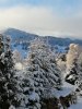 IMG_20201207_090554.jpg