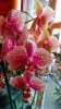 IMG_20200104_135158582-EFFECTS.jpg