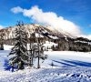 IMG_20201226_143701.jpg
