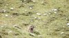 DSCF3797.JPG