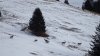 DSCF6297.JPG