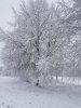 20210105_130751.jpg