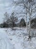 Winterweg.jpg