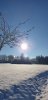 20210110_132451.jpg