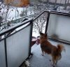 schnee.jpg