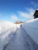 IMG_20190204_161023.jpg