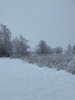 Januar 2021-2.jpg