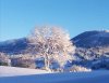 IMG_20210115_175121.jpg