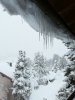 IMG_20210118_080844.jpg