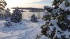 20210130_132657.jpg