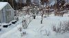 IMG_20210204_092558651.jpg