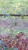 upload_2021-2-7_12-44-19.jpeg