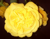 IMG_20210227_143622.png