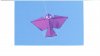 birdkite.JPG