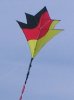 Flagkite.jpg Flagkite.jpg