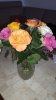 20200819_124958.jpg