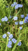 IMG_0166.PNG