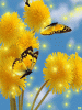 75a63cb89d.gif