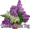 Flieder.gif
