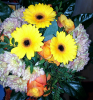 IMG_20210601_145453.png