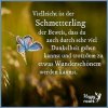 Schmetterling_Wandlung.jpg