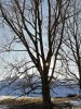 IMG_20191206_140635.jpg