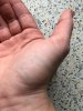 handfläche1.jpg