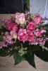 IMG-20180113-WA0008.jpeg IMG-20180113-WA0008.jpeg