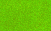 ameise-gruss.gif