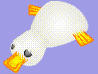 ente.jpg