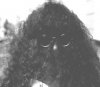 ina-yeti-sw.jpg