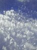 schnee1.jpg