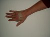bild0540.jpg