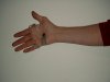 bild0541.jpg