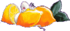 hinterobstversteck.gif