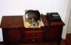 katze4.jpg