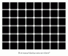 sehtest.gif