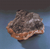 stein.gif