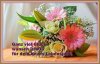 upload_2022-5-30_14-35-45.jpeg