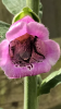 IMG_0668.PNG