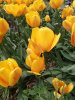 IMG_20190417_161658.jpg
