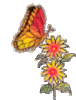 Blume_Schmetterling.gif