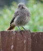 DSC03226.JPG