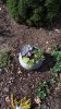 20200818_105543.jpg