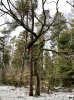 6CDF0278-F4F1-4BC5-9406-A5FF772BE6BF.jpeg