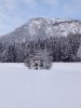 IMG-20230122-WA0002.jpg
