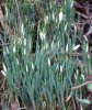 DSC04148.JPG