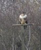DSC04152.JPG