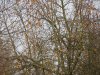 DSC04157.JPG